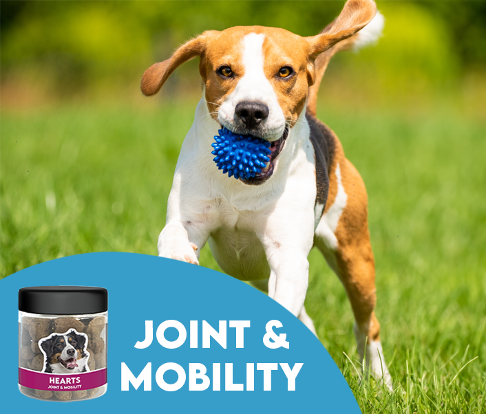 How JoyPets CBD Dog Treats: Hearts Support Hip and Joint Health
